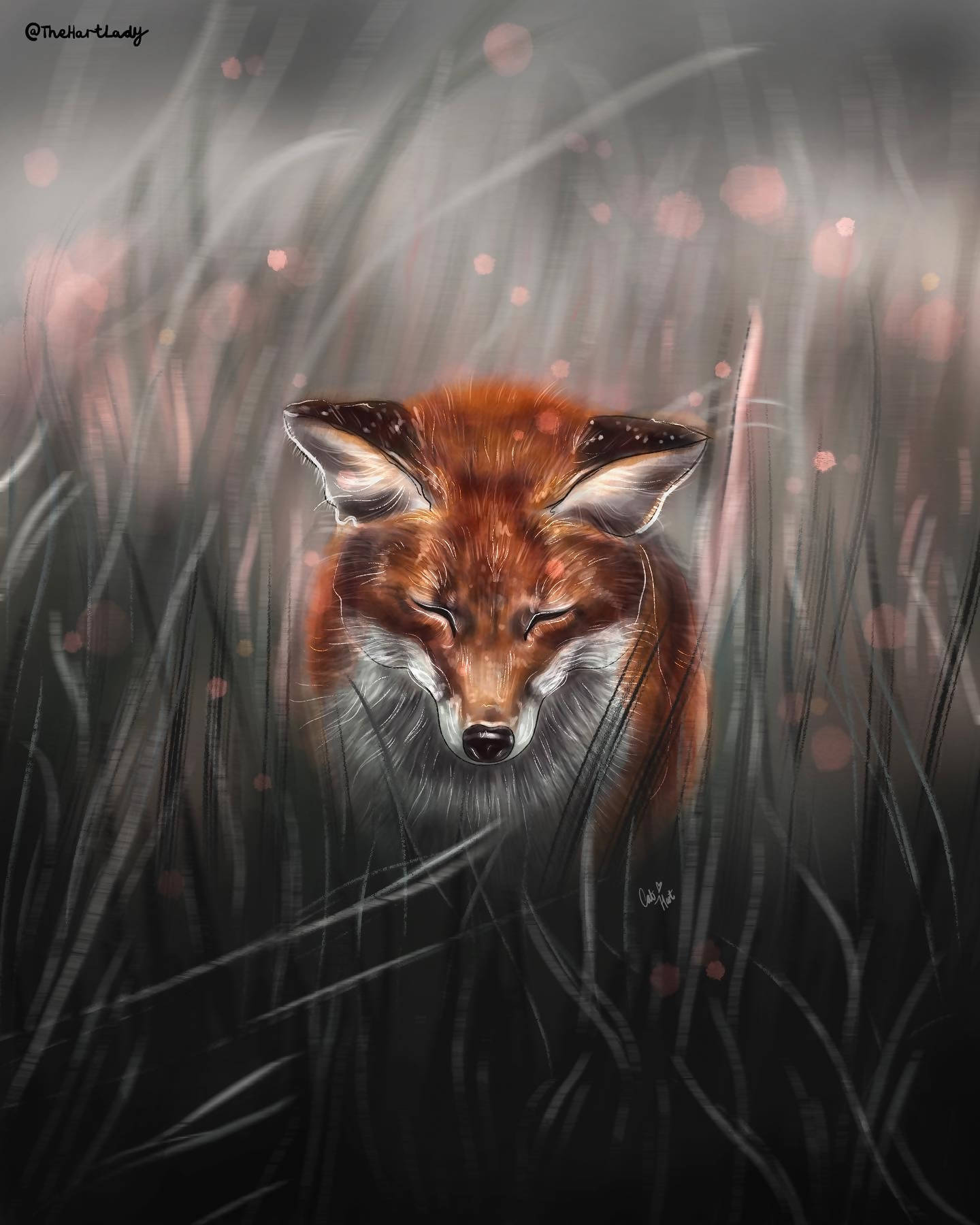 peaceful fox