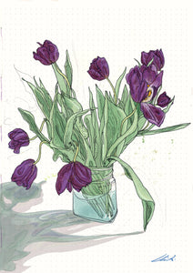 tulips - a5 print