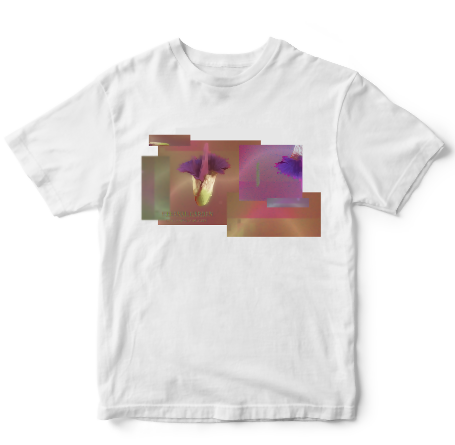 t-shirt + digital album